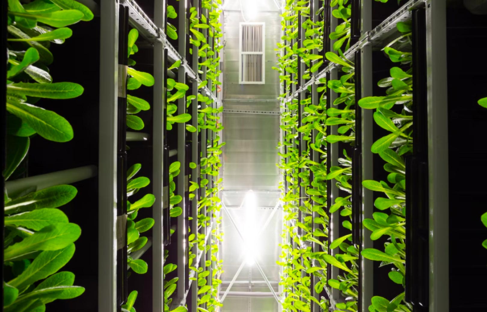 photo de baies de serveurs dans un datacenter